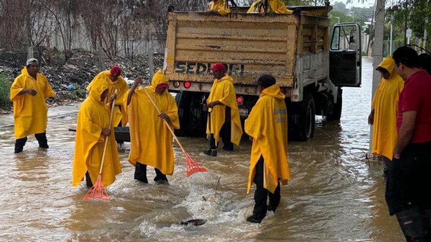 Se realizan trabajos de limpieza de alcantarillas en la Av. Lázaro Cárdenas y Prolongación Pedro Moreno.