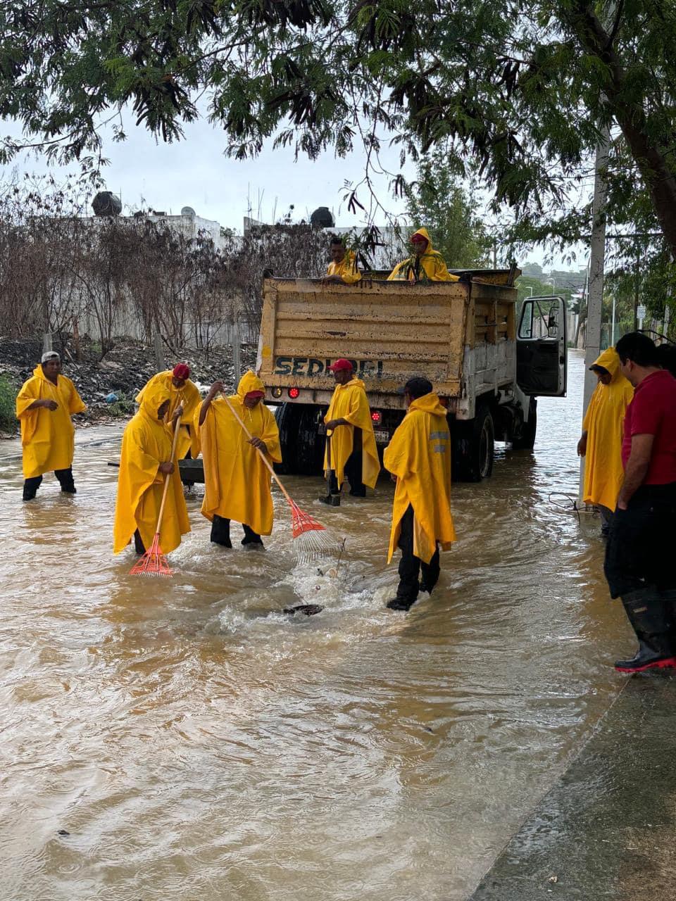 Se realizan trabajos de limpieza de alcantarillas en la Av. Lázaro Cárdenas y Prolongación Pedro Moreno.