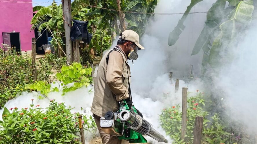 Se colocan Ovitrampas para erradicar el mosco que ocasiona el dengue en Pixoyal, Champotón
