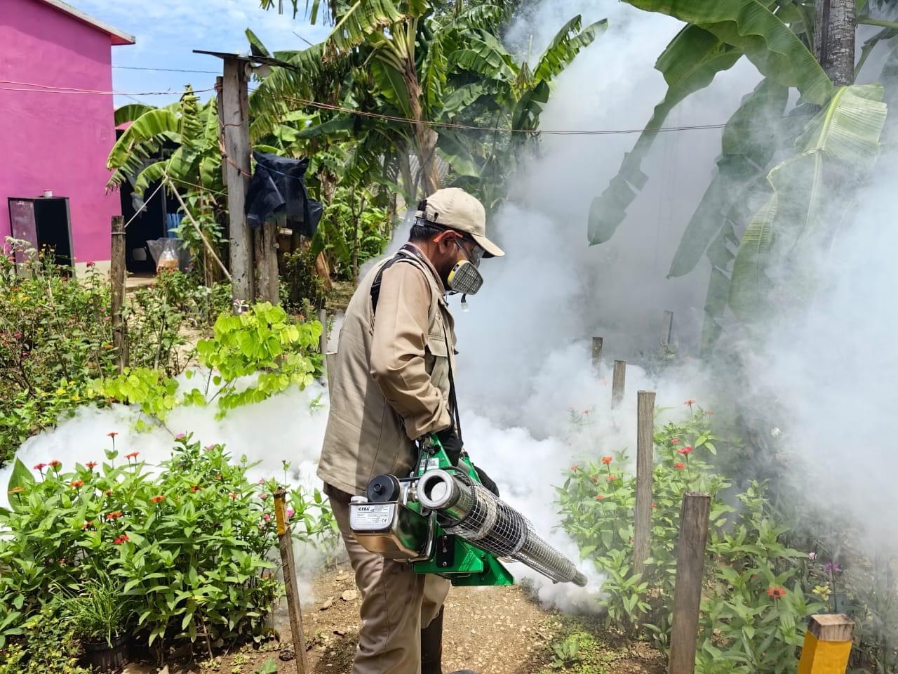 Se colocan Ovitrampas para erradicar el mosco que ocasiona el dengue en Pixoyal, Champotón