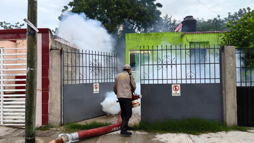 Se intensifica el combate contra el dengue en Siglo XXI