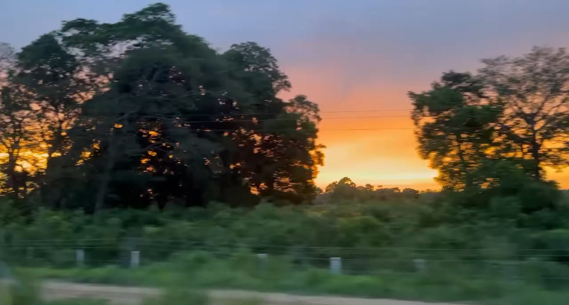 Atardecer desde el Tren Maya