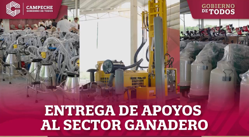Entrega de apoyos al sector ganadero