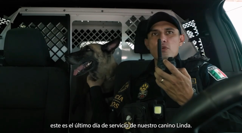 Último día como agentes caninos