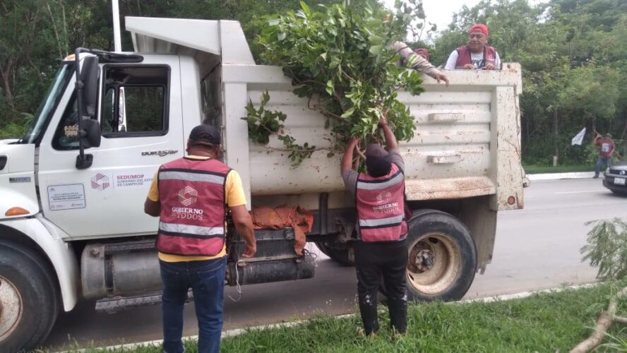 Estamos atendiendo y realizando acciones de limpieza de calles
