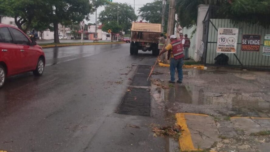 Seguimos limpiando alcantarillas en diversos puntos de la ciudad para evitar inundaciones. SEDUMOP CAMPECHE