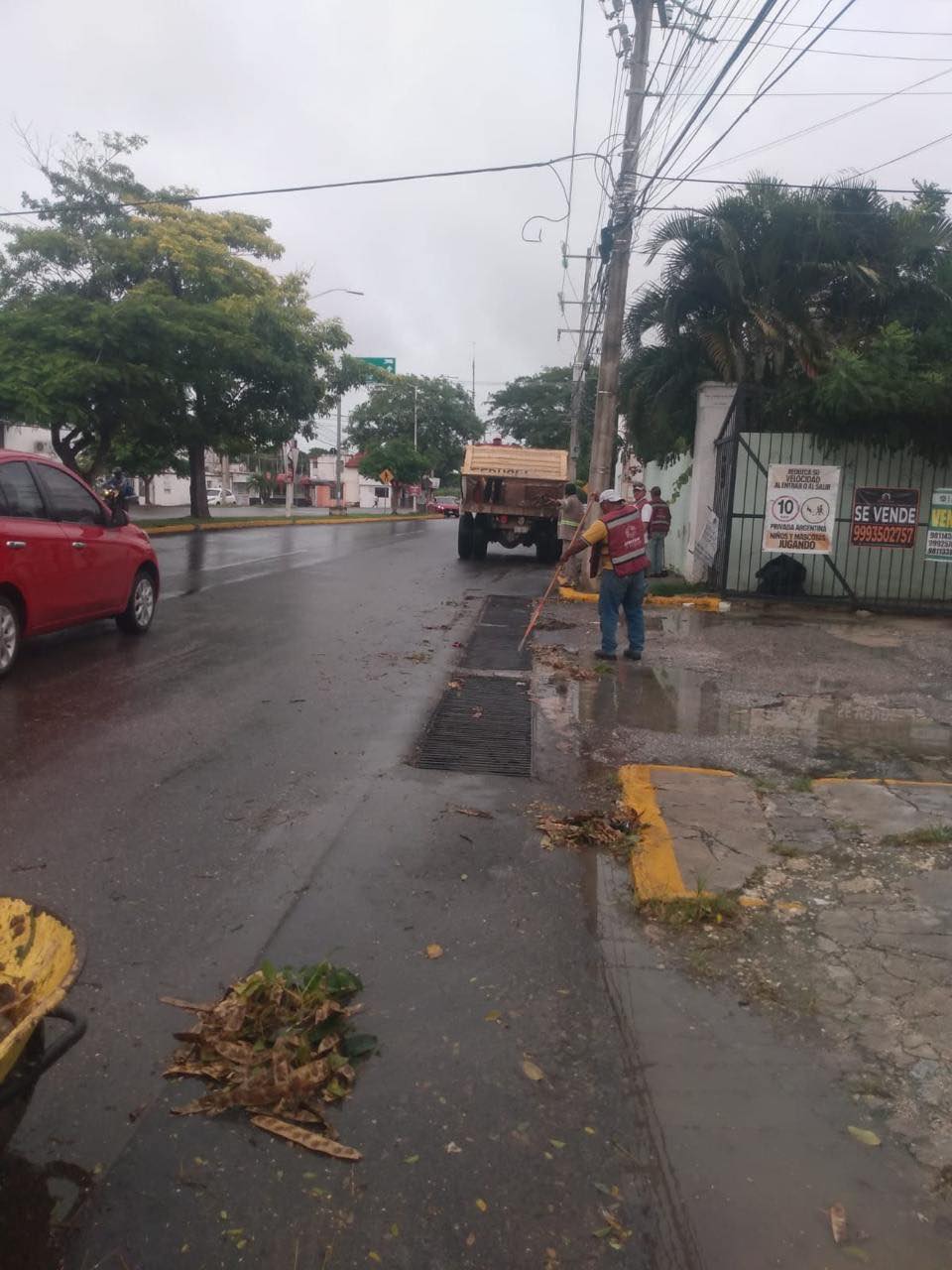 Seguimos limpiando alcantarillas en diversos puntos de la ciudad para evitar inundaciones. SEDUMOP CAMPECHE
