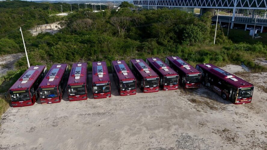 ¡Ya están llegando a Campeche! #Koox
