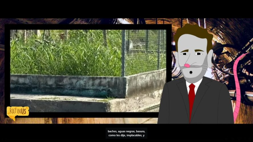 Les comparto los cuatro titulares de Ratinus con Chayo Lloré de Cola