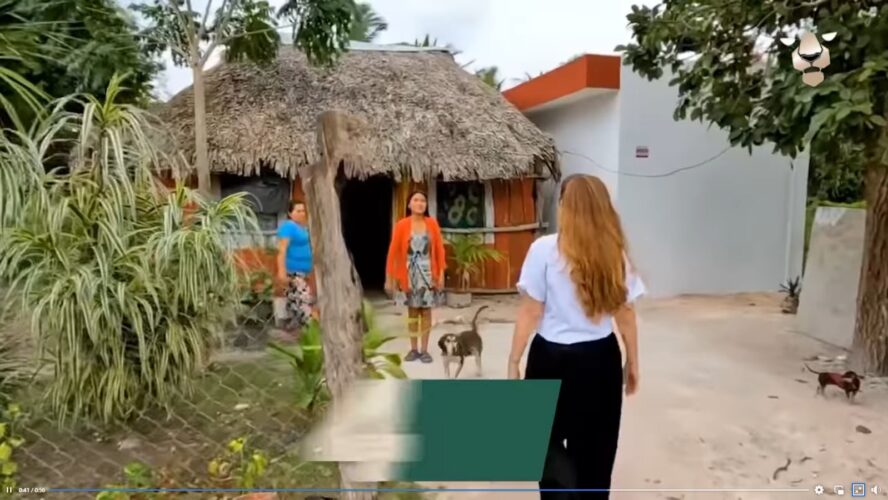 ¡Estas son las 4 del Jaguar!