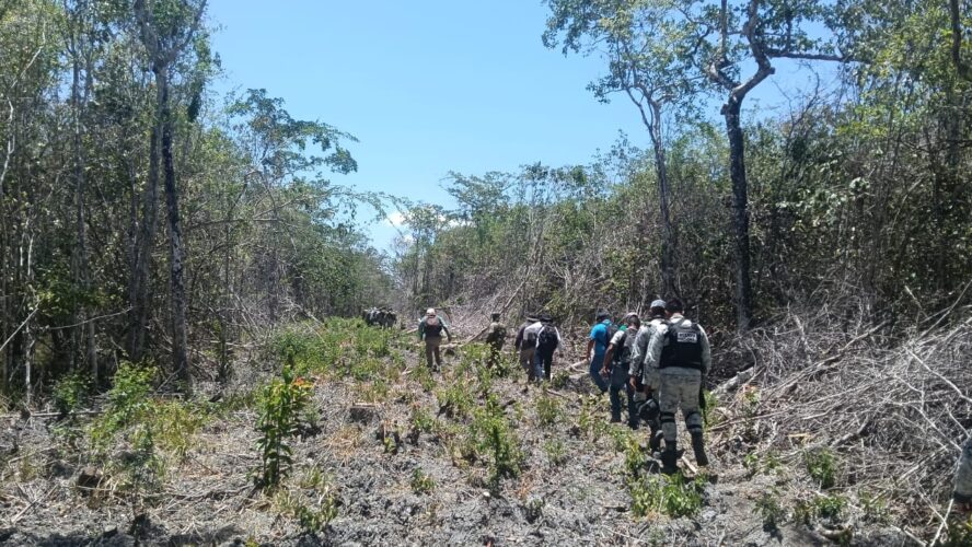 La protección de las áreas naturales es primordial