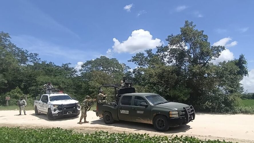 La deforestación ilegal es una prioridad en la administración estatal y federal