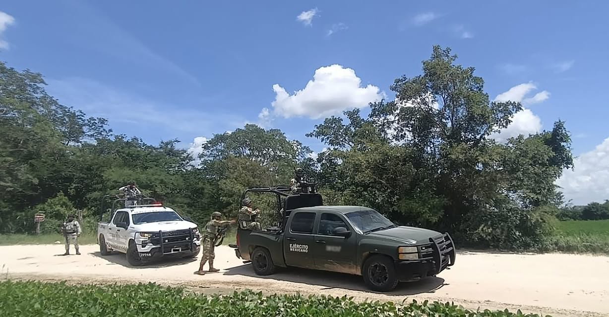 La deforestación ilegal es una prioridad en la administración estatal y federal