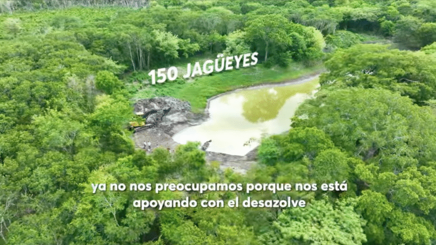 Impulsamos el campo con acciones que dan fruto
