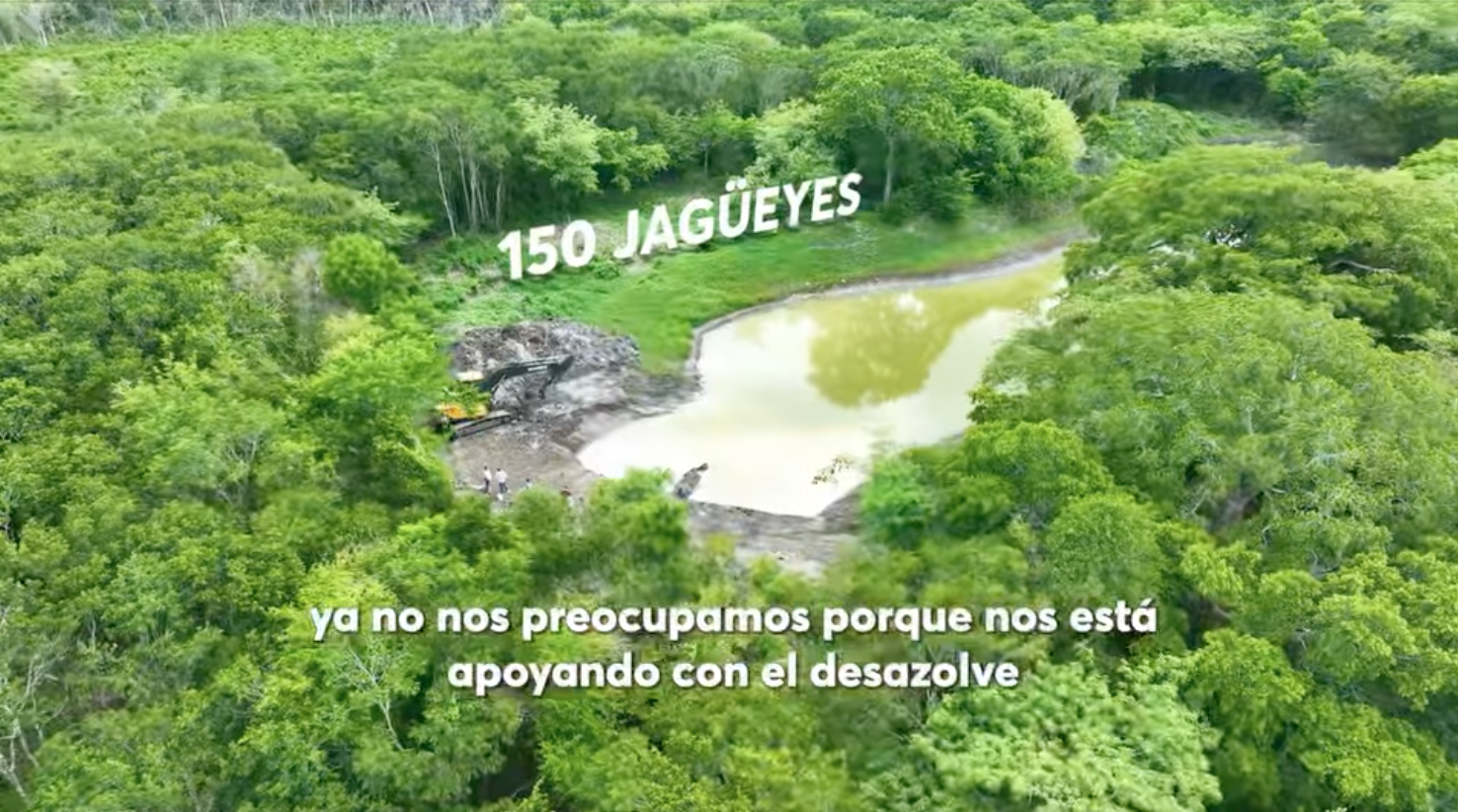 Impulsamos el campo con acciones que dan fruto