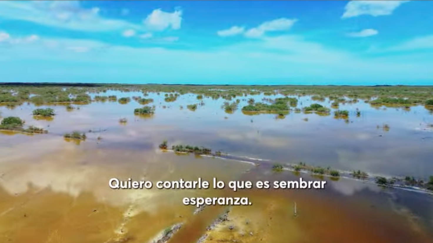 Campeche actúa para proteger la naturaleza y cuidar a su gente