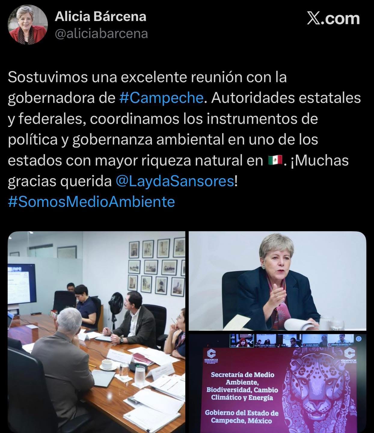 Sostuvimos una reunión virtual con la secretaria de Medio Ambiente y Recursos Naturales, Alicia Bárcena, para fortalecer la agenda ambiental de Campeche