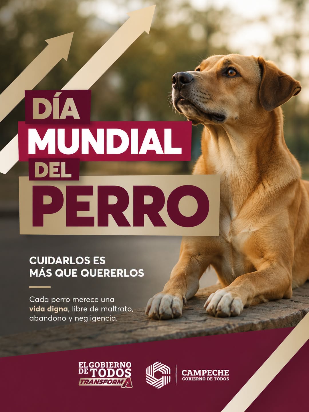 En este Día Mundial del Perro, recordemos que cuidarlos es mucho más que quererlos