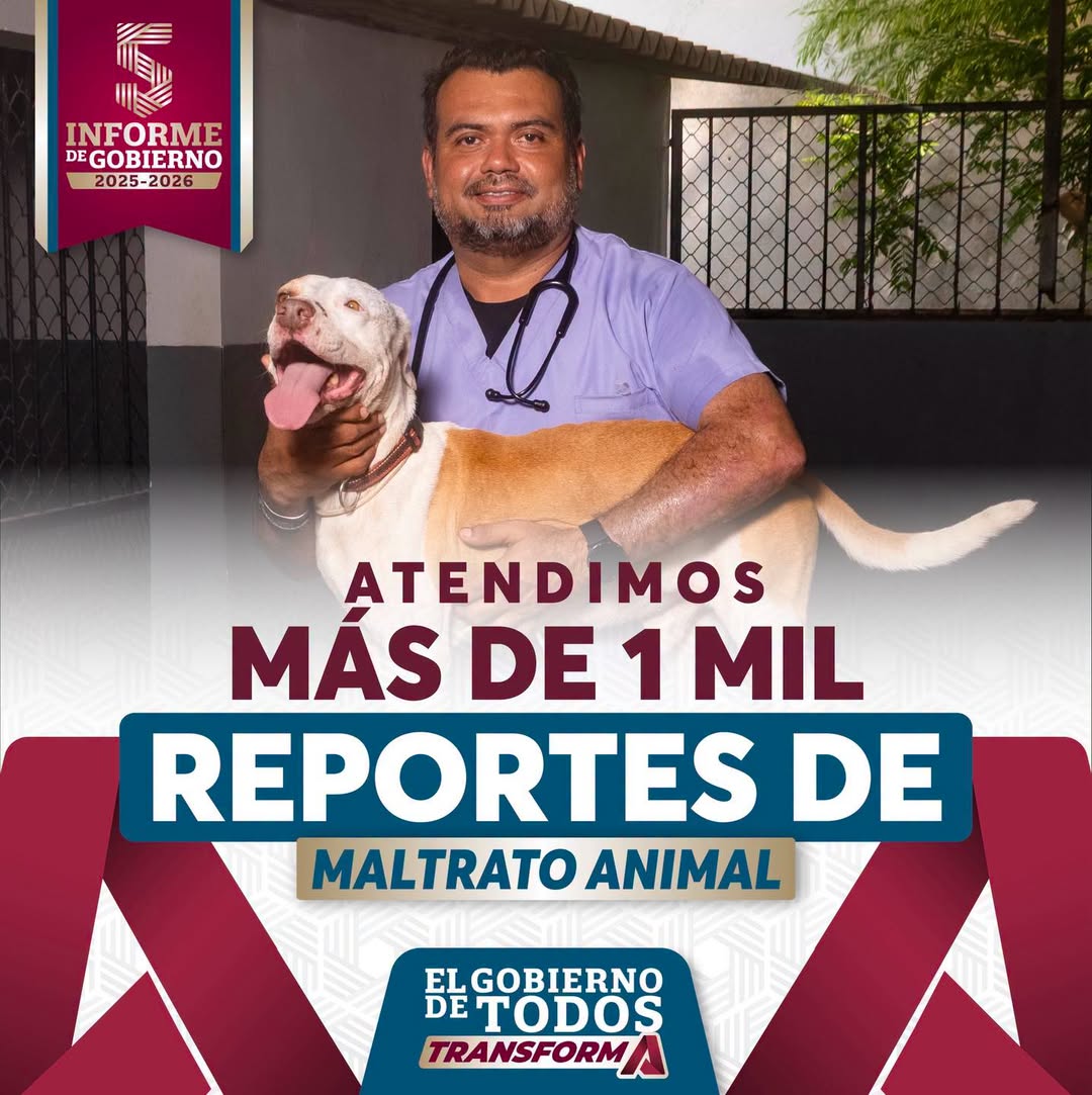 En Campeche protegemos a quienes no tienen voz